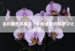 手机维修哪里学（手机维修到哪里学比较好）