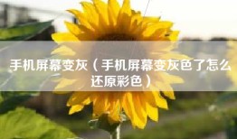 手机屏幕变灰（手机屏幕变灰色了怎么还原彩色）