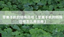 苹果手机的特殊符号（苹果手机的特殊符号怎么弄出来）