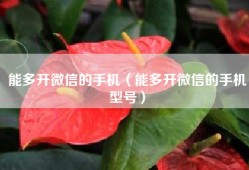 能多开微信的手机（能多开微信的手机型号）