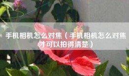 手机相机怎么对焦（手机相机怎么对焦才可以拍得清楚）