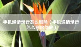 手机通话录音怎么删除（手机通话录音怎么删除彻底）