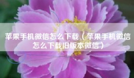 苹果手机微信怎么下载（苹果手机微信怎么下载旧版本微信）