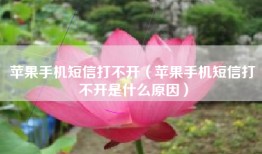 苹果手机短信打不开（苹果手机短信打不开是什么原因）