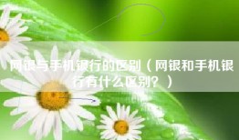 网银与手机银行的区别（网银和手机银行有什么区别？）