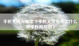 手机无线充电宝（手机无线充电宝什么牌子好用耐用）