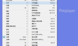 PotPlayer  1.7.22124.0potplayer手机版下载「PotPlayer  1.7.22124.0」