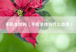 手机全球购（手机全球购什么意思）