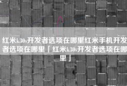 红米k30s开发者选项在哪里红米手机开发者选项在哪里「红米k30s开发者选项在哪里」