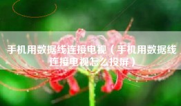 手机用数据线连接电视（手机用数据线连接电视怎么投屏）