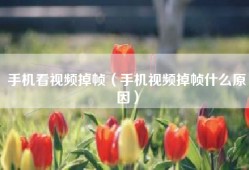 手机看视频掉帧（手机视频掉帧什么原因）