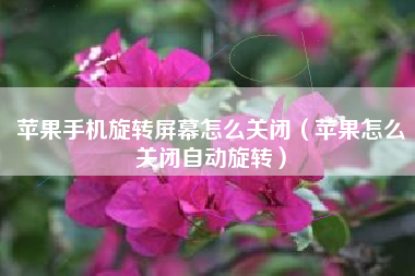 苹果手机旋转屏幕怎么关闭（苹果怎么关闭自动旋转）