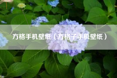 方格手机壁纸（方格子手机壁纸）