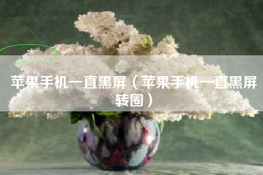 苹果手机一直黑屏（苹果手机一直黑屏转圈）