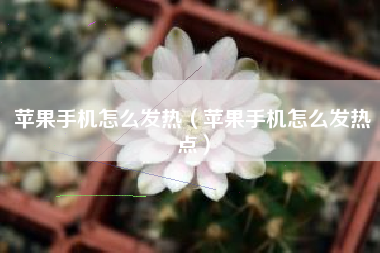 苹果手机怎么发热（苹果手机怎么发热点）