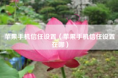 苹果手机信任设置（苹果手机信任设置在哪）